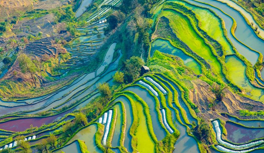 宝妈必备神器：杨陵区产品视频拍摄轻松育儿好帮手