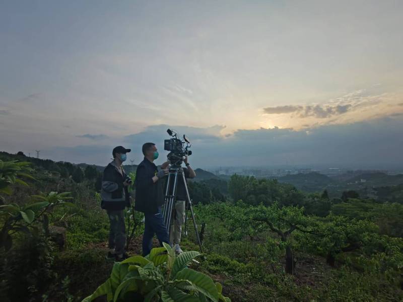 创意破圈！杨陵区电商产品宣传视频用故事化叙事引爆流量