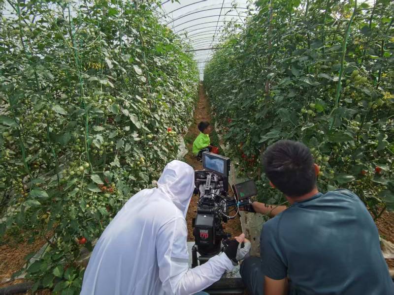 杨陵区产品宣传视频拍摄公司进阶指南，助力品牌抢占传播高地